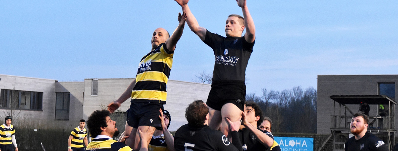 Rugby: l'Asub dans le dernier carré de la Coupe de Belgique - La DH/Les  Sports+