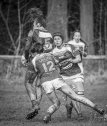 17022024-_nz88655-avec_accentuation-bruit.jpg - JPEG - 260.2 ko - 1024×1212 px