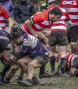 04022024-_nz87401-avec_accentuation-bruit.jpg - JPEG - 932 ko - 891×1024 px