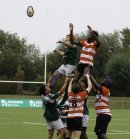 _46a2775.jpg - JPEG - 448.8 ko - 2000×2152 px