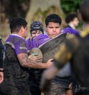 _nz88165.jpg - JPEG - 245.6 ko - 1024×1098 px