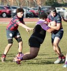 gp5f8395.jpg - JPEG - 696.1 ko - 2000×2106 px