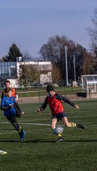 dsc01535.jpg - JPEG - 722.1 ko - 1500×2666 px