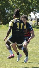 gp5f2333-2.jpg - JPEG - 877.9 ko - 2000×3533 px