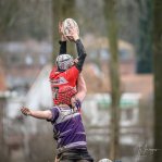 _nz87621.jpg - JPEG - 170.8 ko - 1024×1028 px