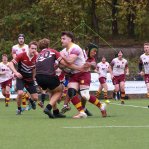 img_9123_1_.jpg - JPEG - 567.8 ko - 2000×2001 px