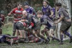 04022024-_nz88062-avec_accentuation-bruit.jpg - JPEG - 816.3 ko - 1024×680 px