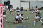 20231015_d1_sen2_la_hulpe_13_-_35_brc_s_b_v_g_0410.jpg - JPEG - 320.1 ko - 1500×996 px