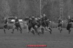20231125_wom_q3_laakdal_5_-_43_brigandze_0155_zw.jpg - JPEG - 223.5 ko - 1500×996 px
