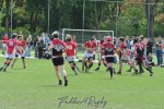 20240414_d3_sen2_antwerp_rc_17_-_40_rc_diabolos_s_b_v_g_0608.jpg - JPEG - 353.1 ko - 1500×996 px
