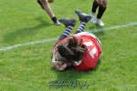 20240414_d3_sen2_antwerp_rc_17_-_40_rc_diabolos_s_b_v_g_0635.jpg - JPEG - 455.9 ko - 1500×996 px
