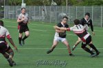 20240414_d3_sen_antwerp_rc_10_-_26_rc_diabolos_0378_.jpg - JPEG - 300.7 ko - 1500×996 px