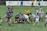20240525_u18_fin_soignies_27_-_35_brc_0462.jpg - JPEG - 337.1 ko - 1500×996 px