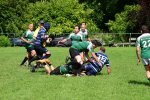 2026-06-13_160925_55338564636_o.jpg - JPEG - 808.2 ko - 2000×1333 px