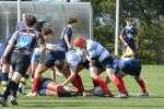231014-u16_rcl_vs_roc-selection_44_.jpg - JPEG - 332.7 ko - 1500×999 px