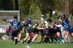 231021-2-match_feminines_walfer-asub_selection_28_.jpg - JPEG - 279.1 ko - 1600×1066 px