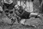 29102023-_nz85238-avec_accentuation-bruit.jpg - JPEG - 241.4 ko - 1024×681 px