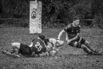29102023-_nz85255-avec_accentuation-bruit.jpg - JPEG - 246.7 ko - 1024×681 px