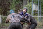 29102023-_nz85629-avec_accentuation-bruit.jpg - JPEG - 166.2 ko - 1024×681 px