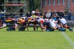 img_6713.jpg - JPEG - 281.3 ko - 2000×3000 px