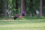 img_8137.jpg - JPEG - 496.4 ko - 2000×1333 px