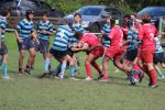 img_9748.jpg - JPEG - 193.8 ko - 2000×2762 px