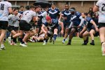 jjz_4058.jpg - JPEG - 463 ko - 2000×1333 px