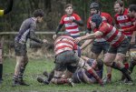 04022024-_nz87974-avec_accentuation-bruit.jpg - JPEG - 737.4 ko - 1024×688 px