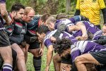 29102023-_nz84807-avec_accentuation-bruit.jpg - JPEG - 321.5 ko - 1024×688 px