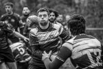 29102023-_nz84879-avec_accentuation-bruit.jpg - JPEG - 144.7 ko - 1024×689 px