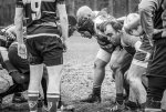 _nz80441-avec_accentuation-bruit.jpg - JPEG - 218.6 ko - 1024×686 px