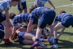 u16_rcl-boitfort_29_march_2025-29.jpg - JPEG - 505.2 ko - 2000×1334 px