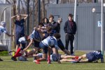 u16_rcl-boitfort_29_march_2025-40.jpg - JPEG - 418.8 ko - 2000×1334 px
