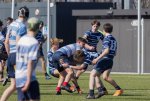 u16_rcl-boitfort_29_march_2025-41.jpg - JPEG - 373.9 ko - 2000×1334 px