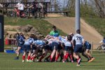 u16_rcl-boitfort_29_march_2025-47.jpg - JPEG - 435.8 ko - 2000×1334 px