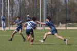 u16_rcl-boitfort_29_march_2025-69.jpg - JPEG - 486.5 ko - 2000×1334 px
