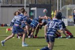 u16_rcl-boitfort_29_march_2025-82.jpg - JPEG - 429 ko - 2000×1334 px