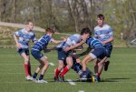 u16_rcl-boitfort_29_march_2025-84.jpg - JPEG - 431.6 ko - 2000×1334 px