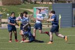 u16_rcl-boitfort_29_march_2025-85.jpg - JPEG - 422.9 ko - 2000×1334 px