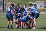 u16_rcl-boitfort_29_march_2025-94.jpg - JPEG - 431.7 ko - 2000×1334 px