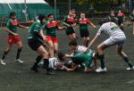 dsc_6286.jpg - JPEG - 466.1 ko - 3000×1987 px