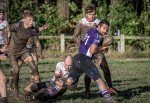 29102023-_nz85605-avec_accentuation-bruit.jpg - JPEG - 264.3 ko - 1024×702 px