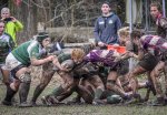 17022024-_nz88993-avec_accentuation-bruit.jpg - JPEG - 283.4 ko - 1024×705 px