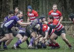 04022024-_nz87815-avec_accentuation-bruit.jpg - JPEG - 804.7 ko - 1024×711 px