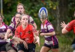 14102023-_nz84105-avec_accentuation-bruit.jpg - JPEG - 192.7 ko - 1024×716 px