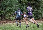 29102023-_nz85012-avec_accentuation-bruit.jpg - JPEG - 341.6 ko - 1024×715 px