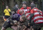04022024-_nz87996-avec_accentuation-bruit.jpg - JPEG - 665.5 ko - 1024×721 px