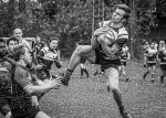 29102023-_nz84791-avec_accentuation-bruit.jpg - JPEG - 220.9 ko - 1024×729 px