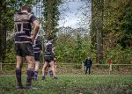 29102023-_nz85166-avec_accentuation-bruit.jpg - JPEG - 391.1 ko - 1024×725 px