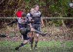 29102023-_nz85178-avec_accentuation-bruit.jpg - JPEG - 335.1 ko - 1024×726 px